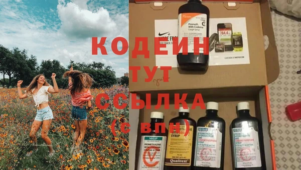 дмт Анива