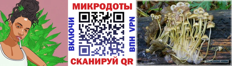 Псилоцибиновые грибы ЛСД  Ялуторовск 